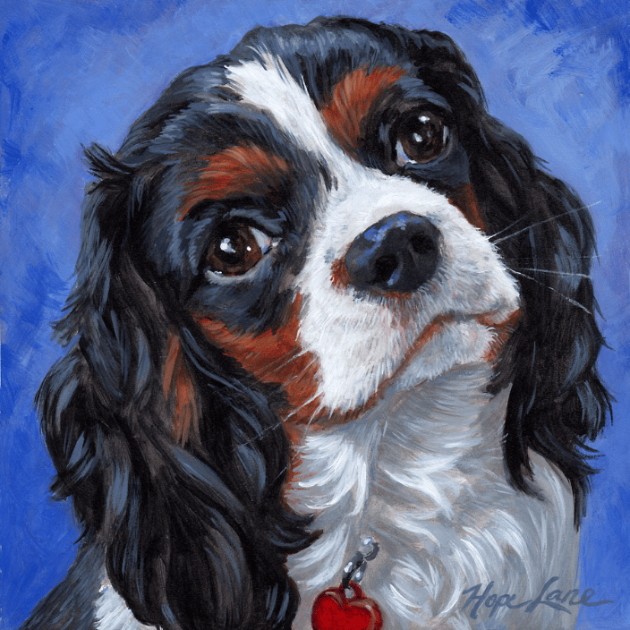 Ruby the Cavalier King Charles Spaniel