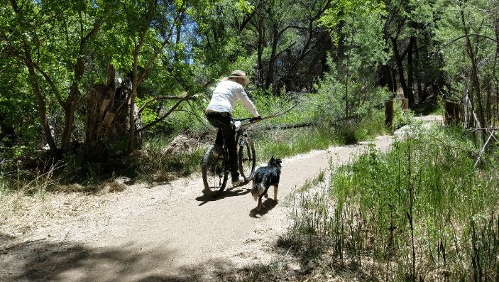 Michael Biking with Tess