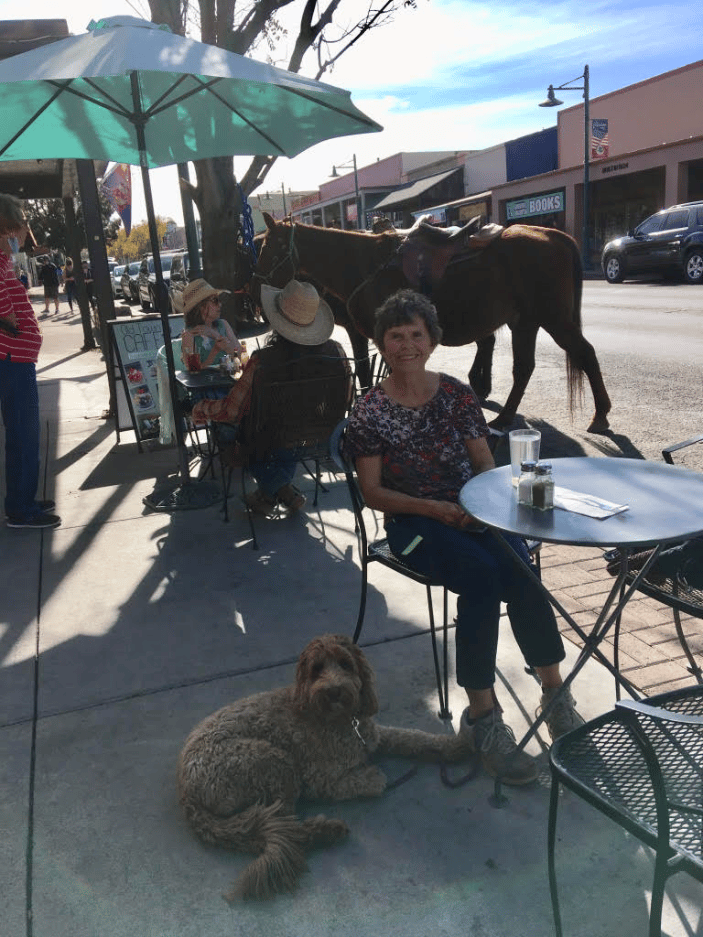 Molly goes everywhere her owner goes!