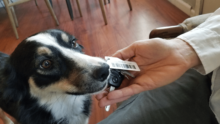 Tess hands over dropped keys