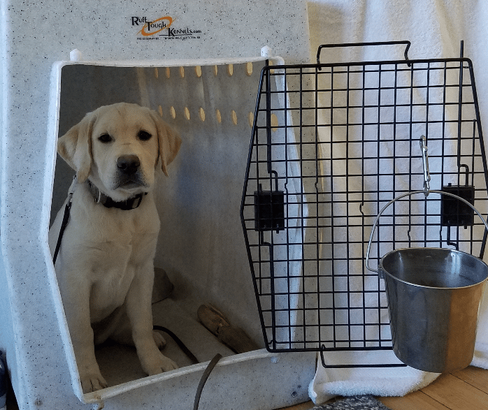 Teaching Lab puppy not to burst out of the crate