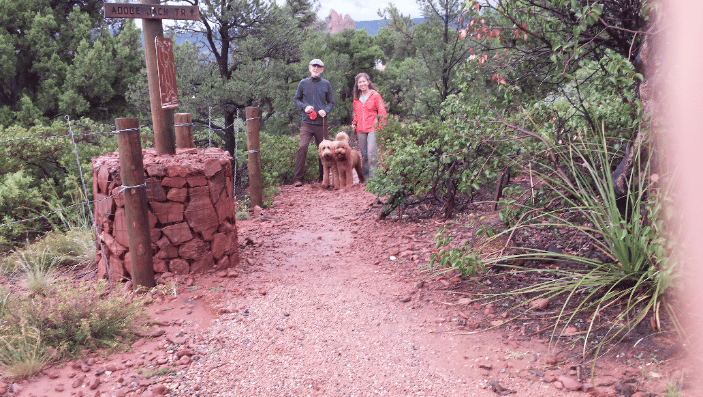 "Proofing" B&T littermates in a hike in Sedona
