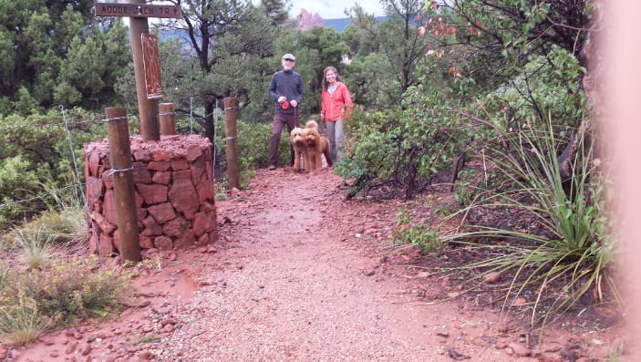 "Proofing" B&T littermates in a hike in Sedona
