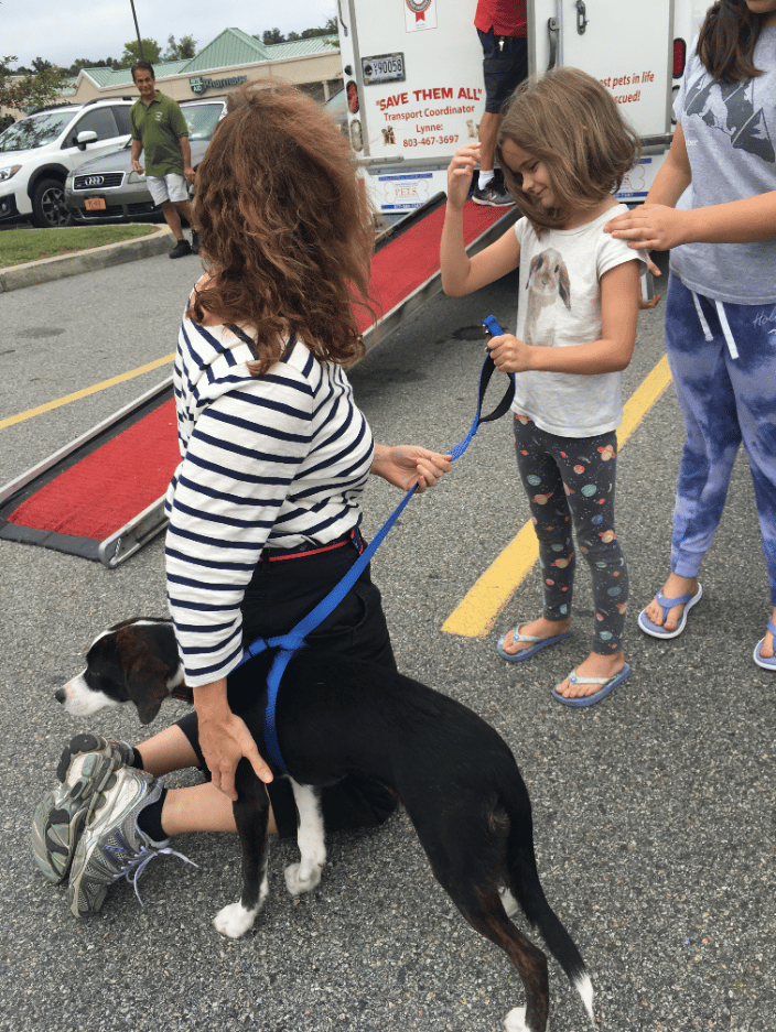 Meet and greet  your new family member!