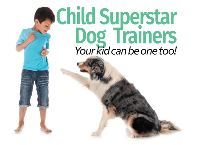 child training dog