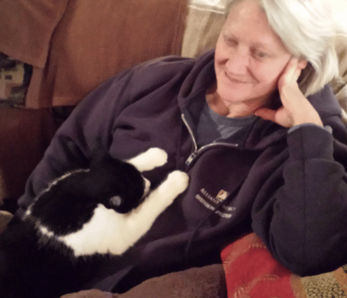 Cats LOVE Reiki