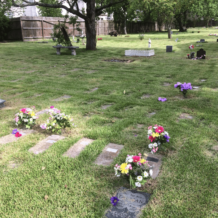 Flowers at Hale's Half Pet Cemetery