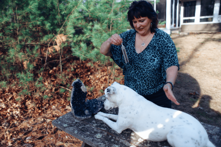 Gemstone and Tuning Fork Healing For Ladybug