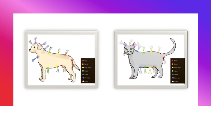 Dog and Cat Chakra Location