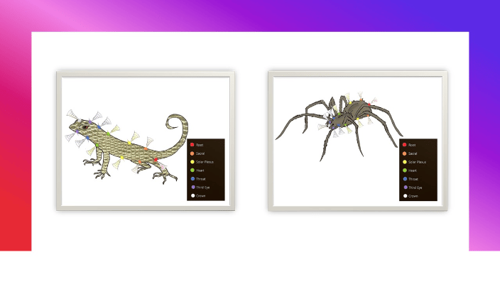 Lizard and Spider Chakra Locations