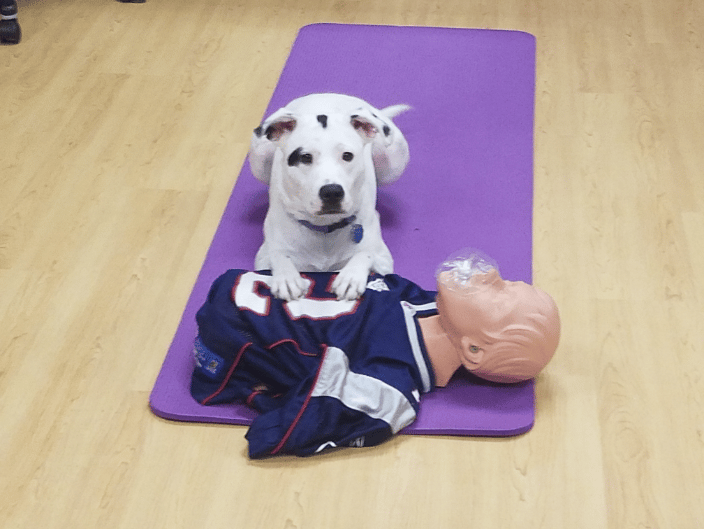 My dad teaches CPR!