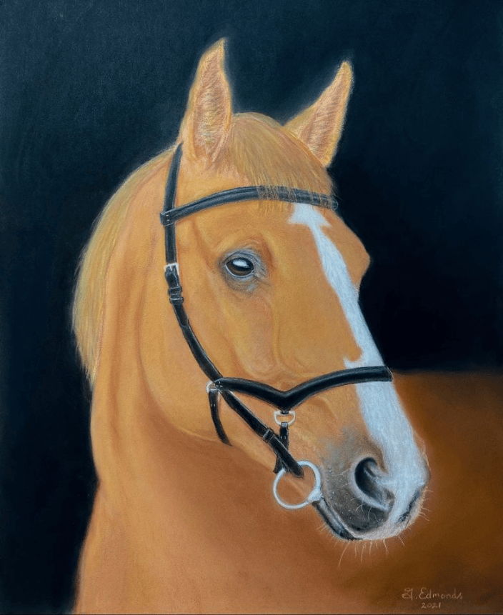 Large Horse Portrait