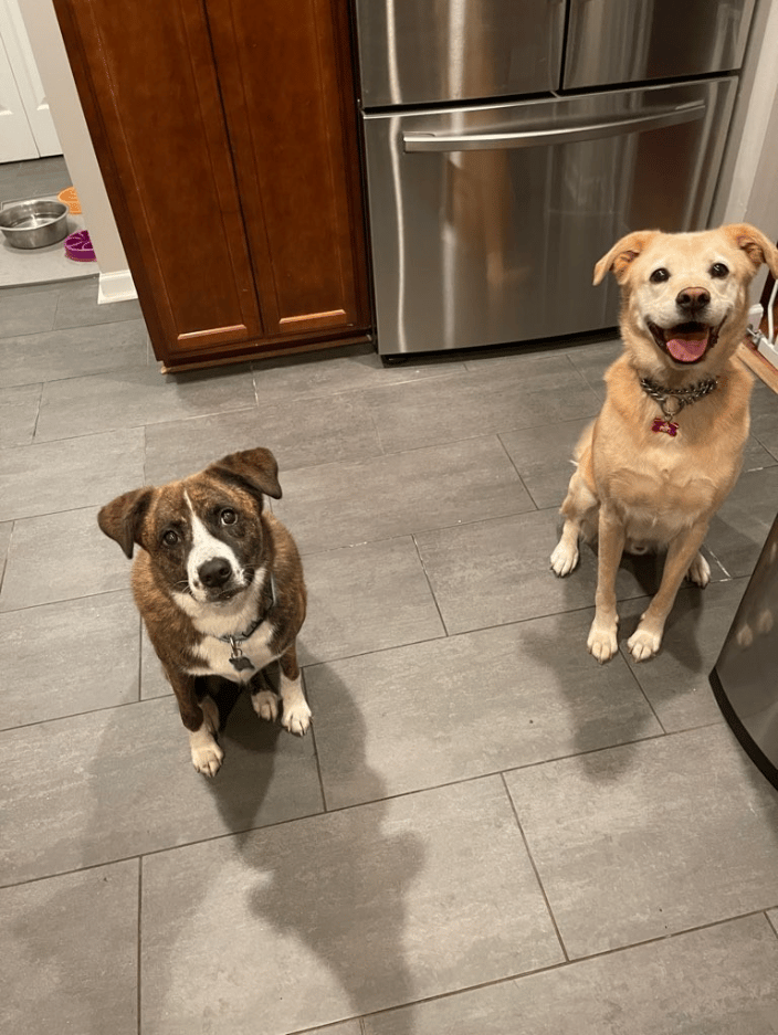 Livie and Fletcher