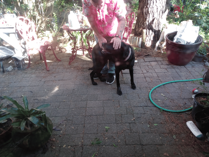 Justin and Maggie