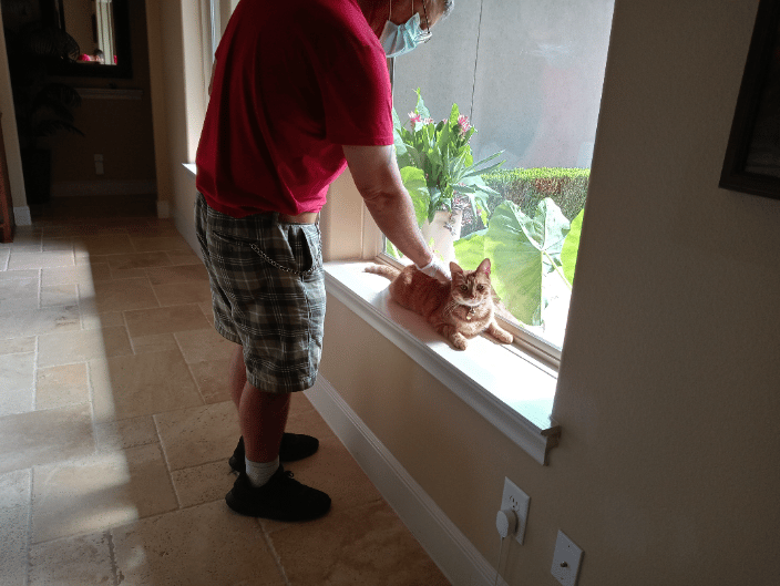 Justin and Mango