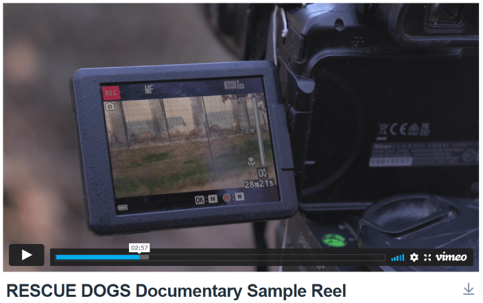 Sample Reel