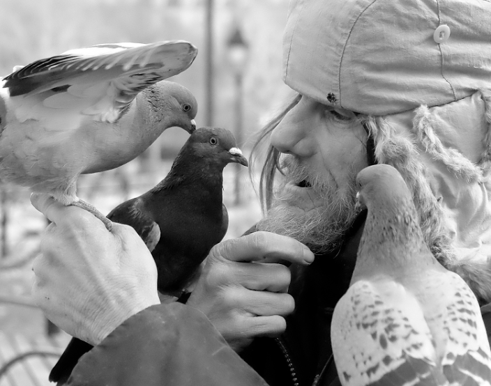 Larry the Birdman and Friends