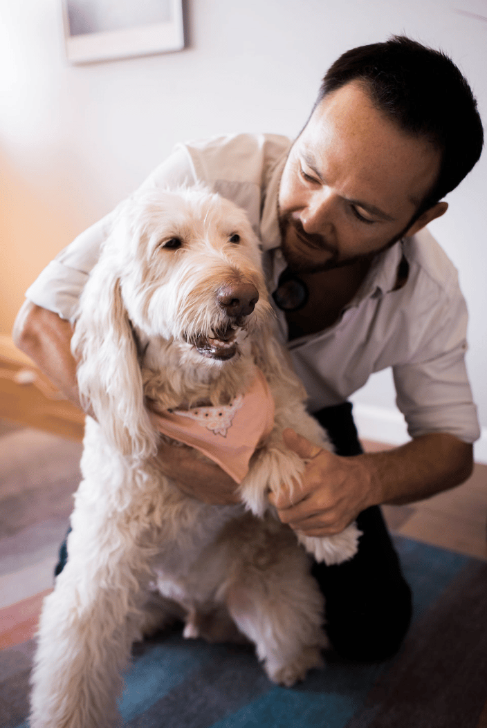 Canine Carpus Adjustment
