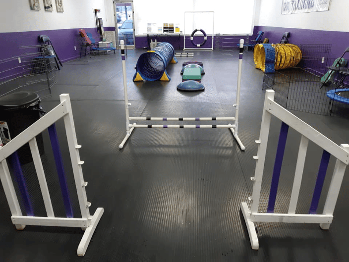 Inside the Team Fido training hall