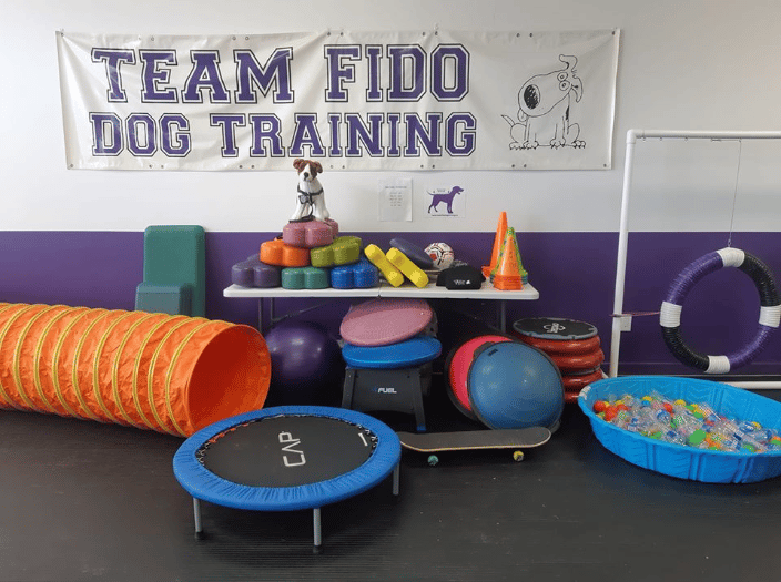 Just some of the equipment I utilize in all classes with all dogs