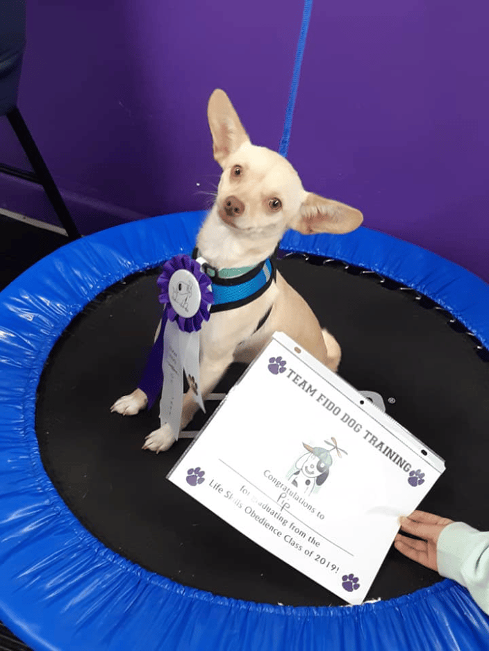 A graduate of Life Skills class, Pip!