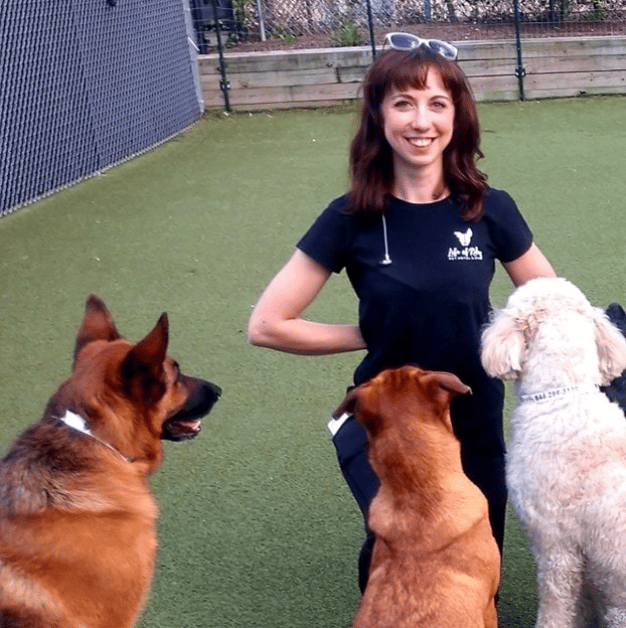 Myself during a shift at a doggie daycare. 