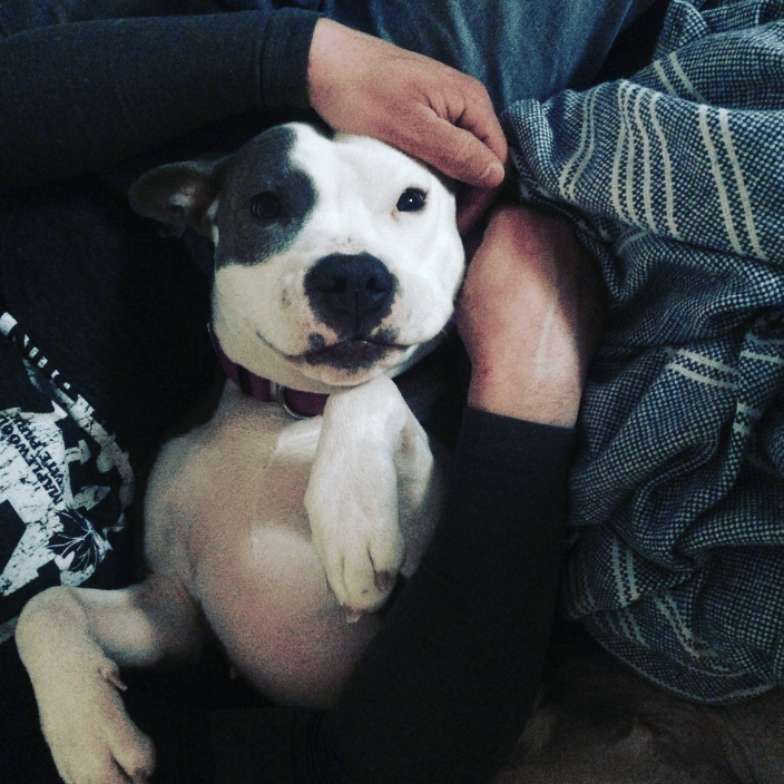 Dani