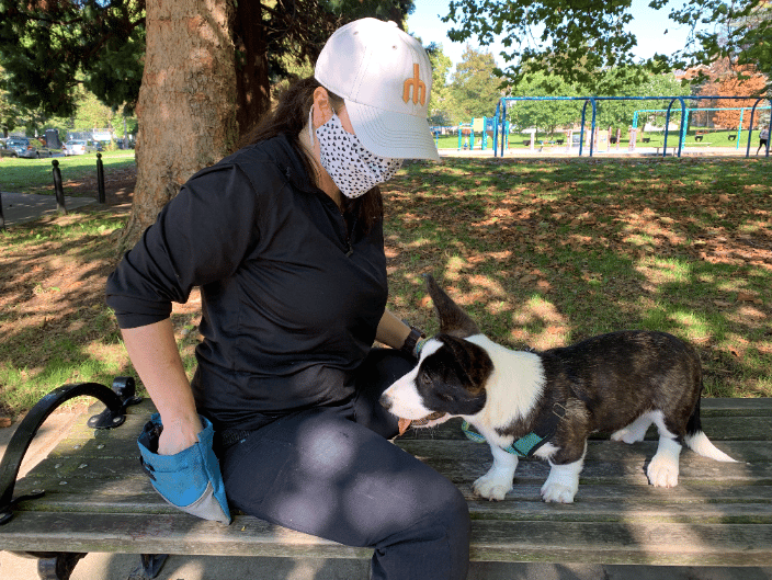 Trainer Cathy socializing her puppy Fozzie Bear