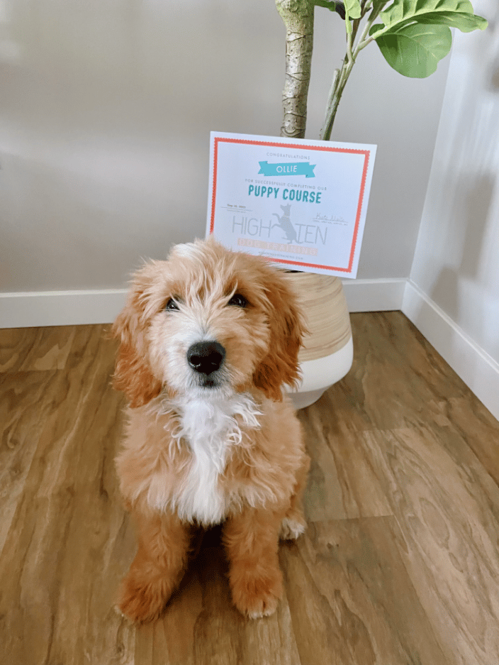 Congrats Ollie!