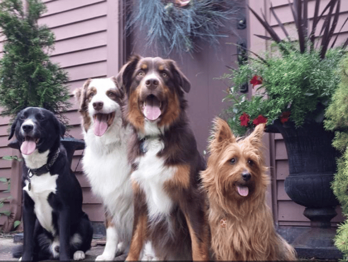 Our crew