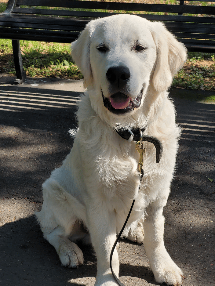 Mr. Rogers learning good manners while at the park.