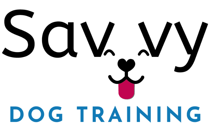 SavvyDT Logo