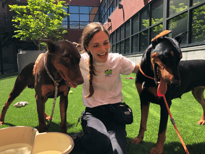 At Animal Care and Control in the yard after successfully getting these shy babies out of their kennel and into the yard. 