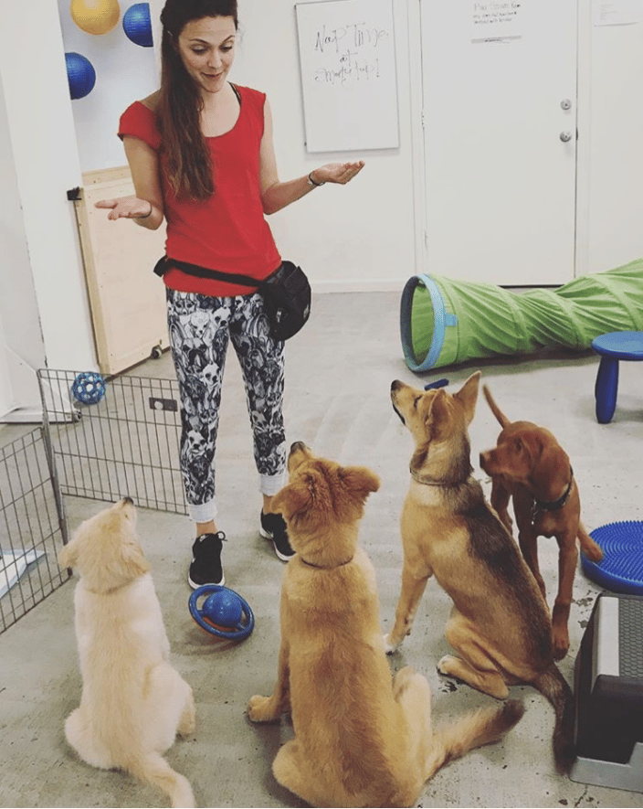 At the beginning of my career when I worked at the puppy training school. This shows off the power of positive reinforcement! 