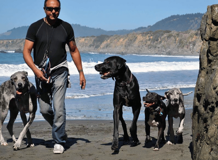 Off Leash Behavior Training