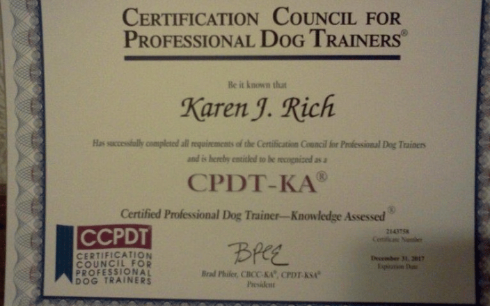 Canine trainer certification sales