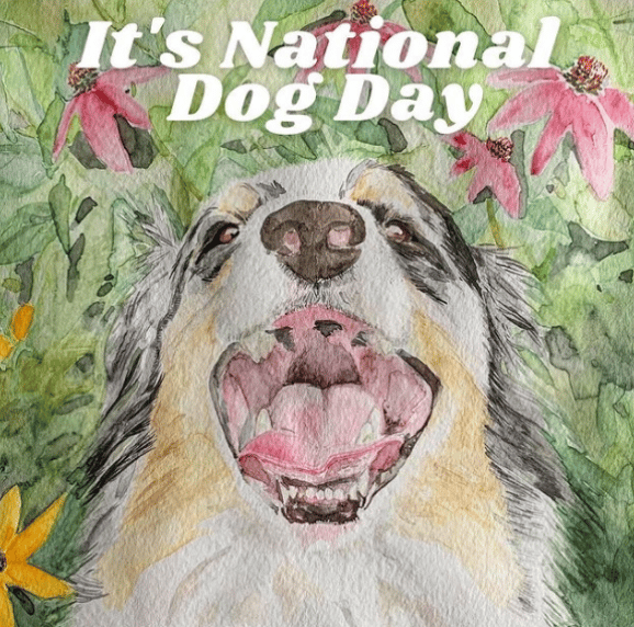 We celebrate dogs!