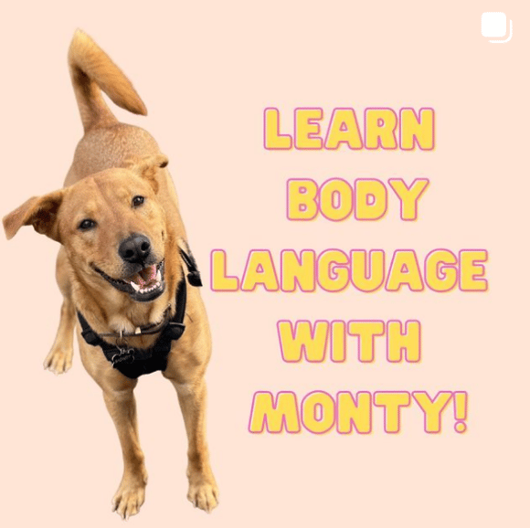 Reading body language is key!
