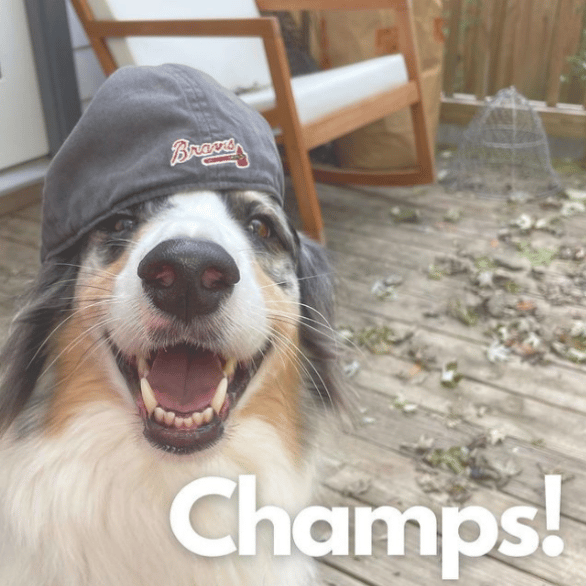 Way to go Atlanta Braves!