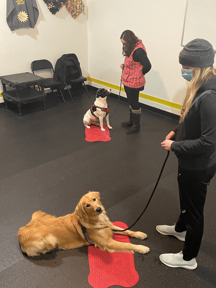 Basics Group class