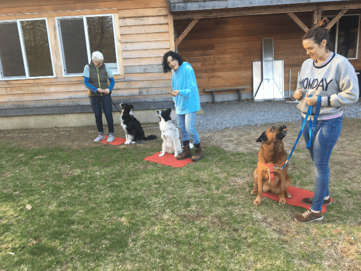 Intermediate Group class