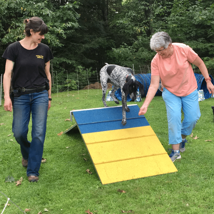 Intro to Agiilty group class