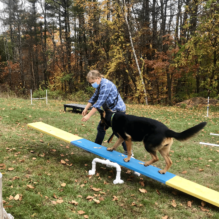 Intro to Agility group class