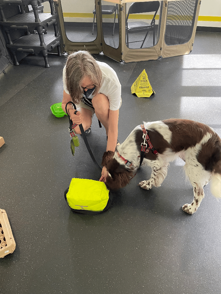 Intro to nose work group class