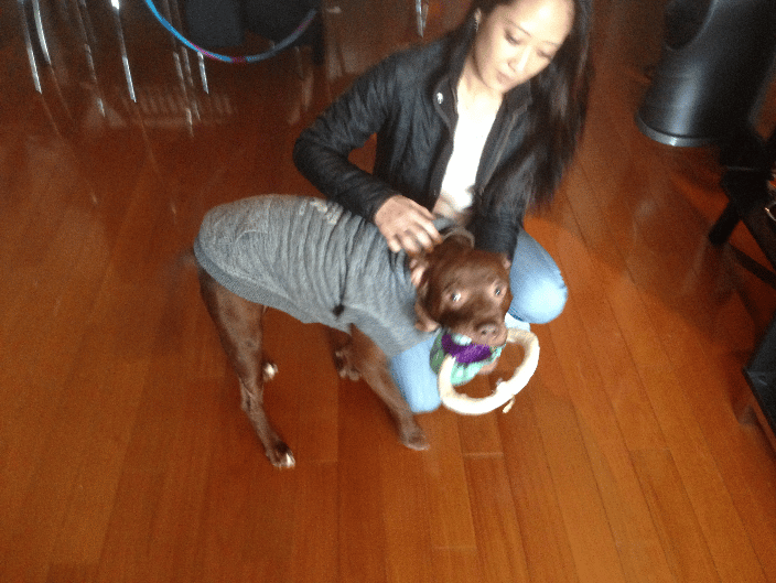 Zeus and his mom