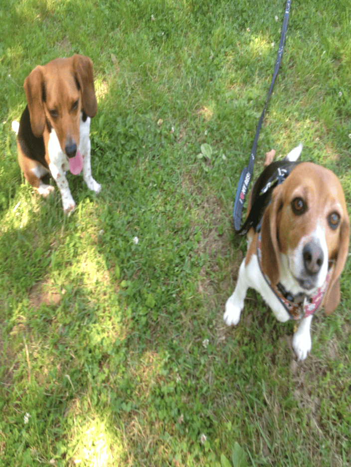 Mazik and Sophie