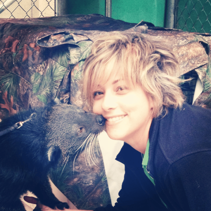 A kiss from a juvenile binturong.