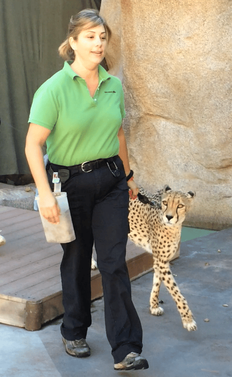 It was my honor to work with Kubali the cheetah.