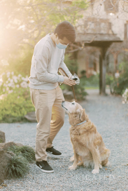 Golden Retriever