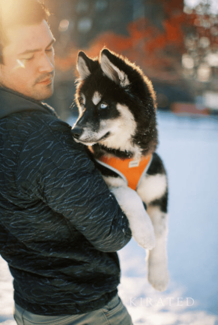 Husky